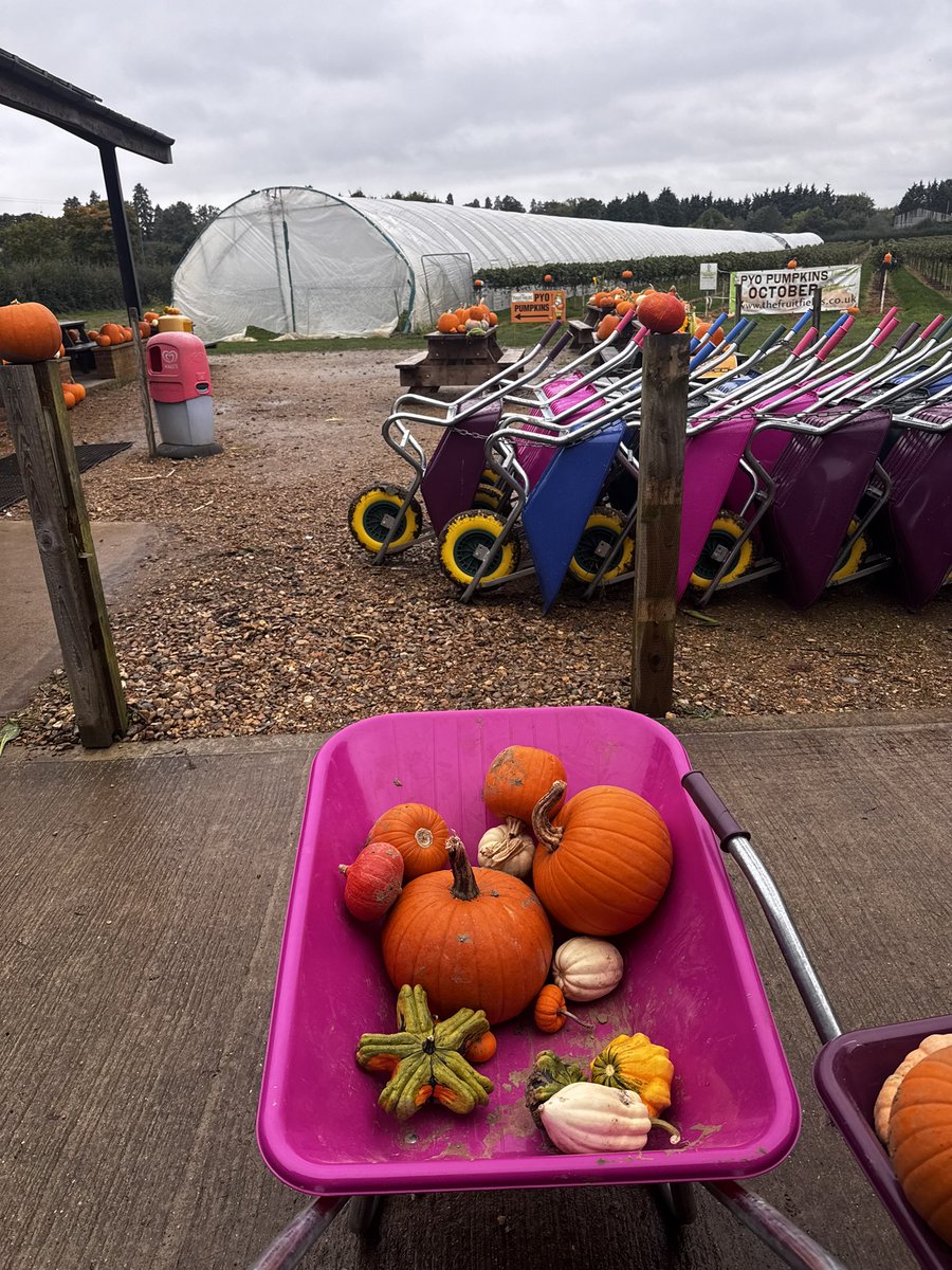 The Fruit Fields Copas farms PYO tweet media