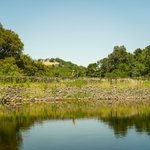 Photo by San Jose Conservation Corps + Charter School (@mysjcccs)