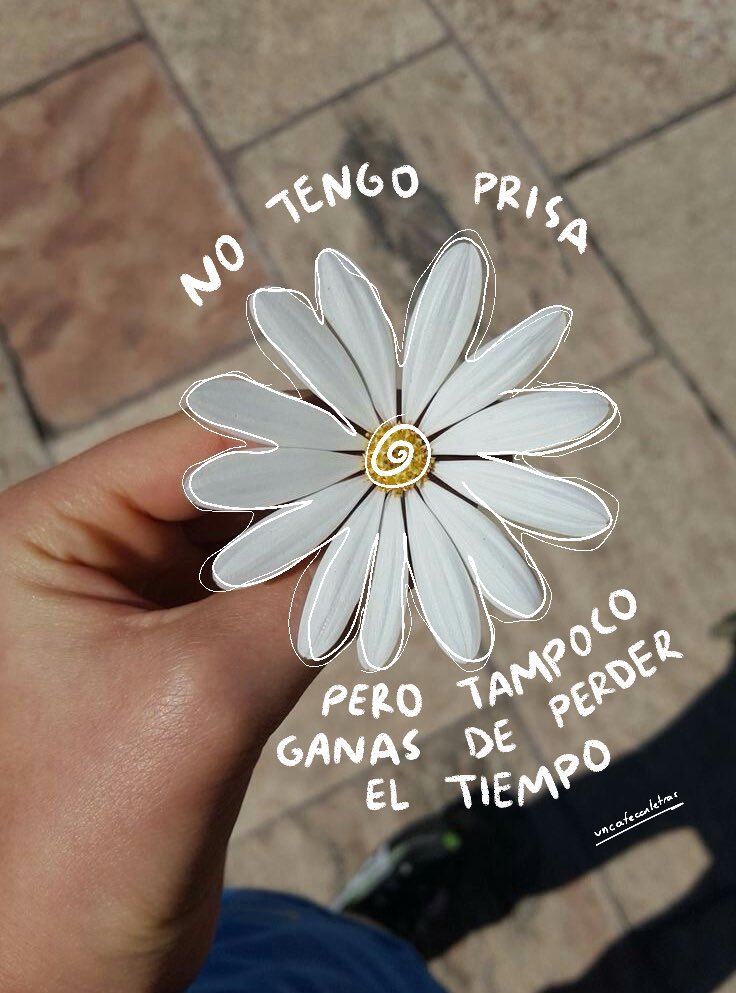 escritosrame's tweet photo. https://t.co/n5sFcnTvCk