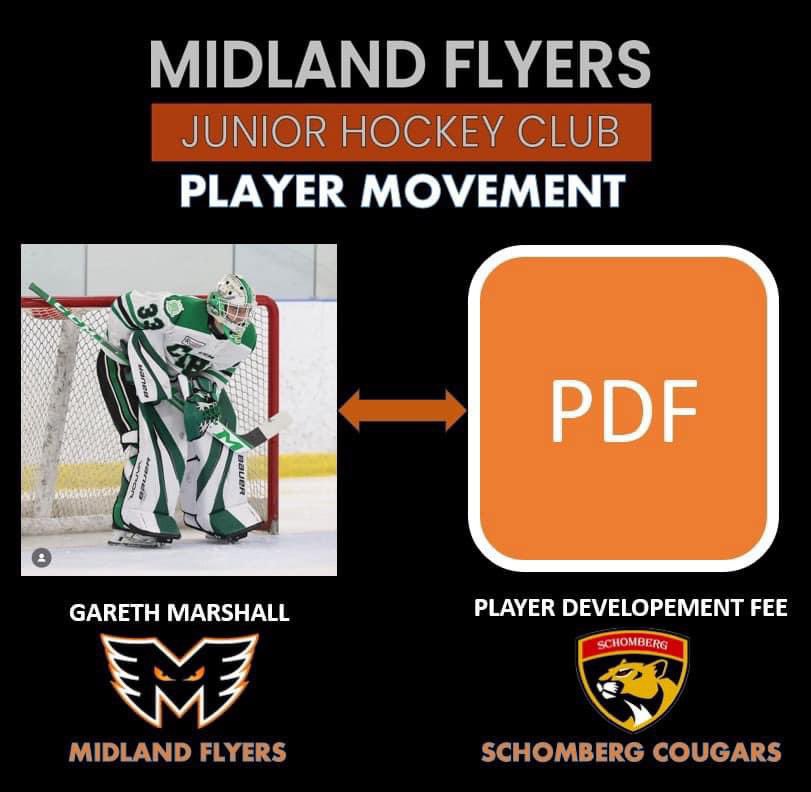 The Flyers announced the signing of 6'5'' goaltender Gareth Marshall, who joined the team through a trade this week with the Schomberg Cougars for a PDF. 
Welcome to the “Hanger” Gareth!