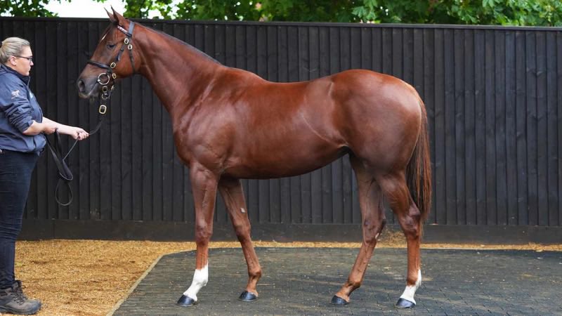 oliver costello tweet media