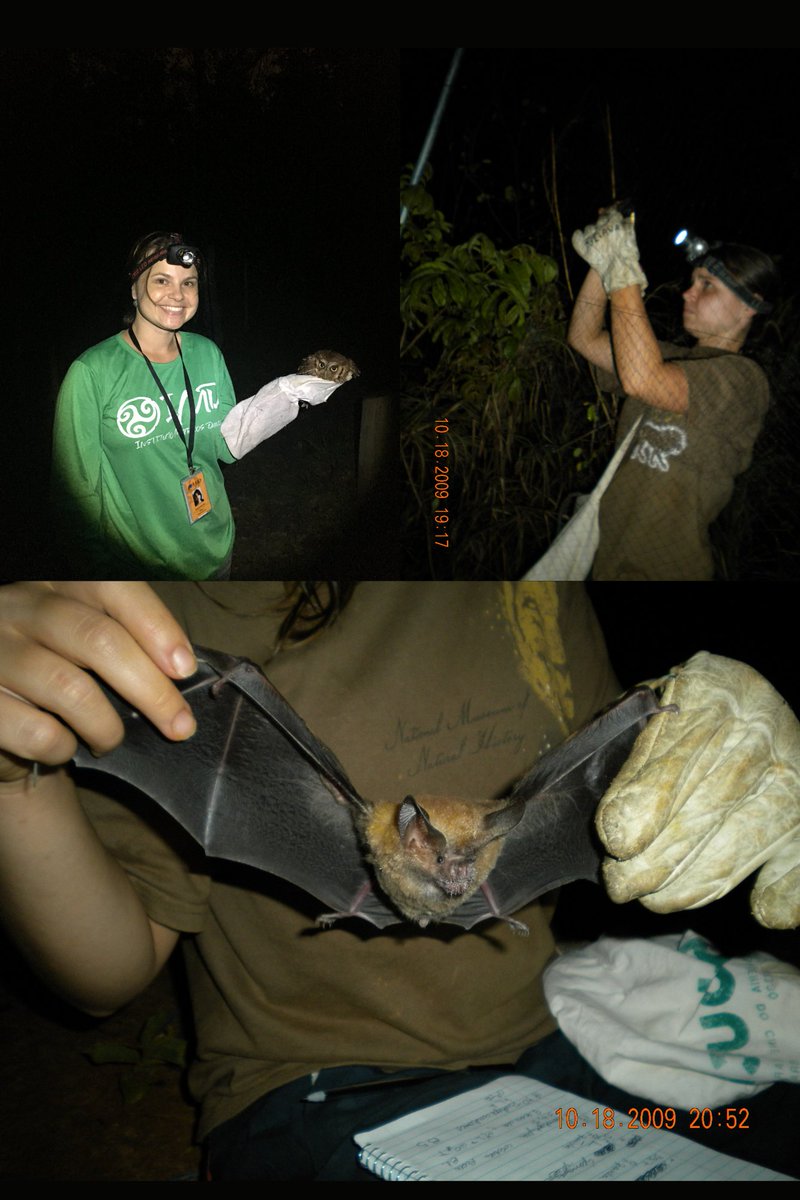 On this day in 2017 vs 2009🦉🦇I'm missing fieldwork 💜💜💜