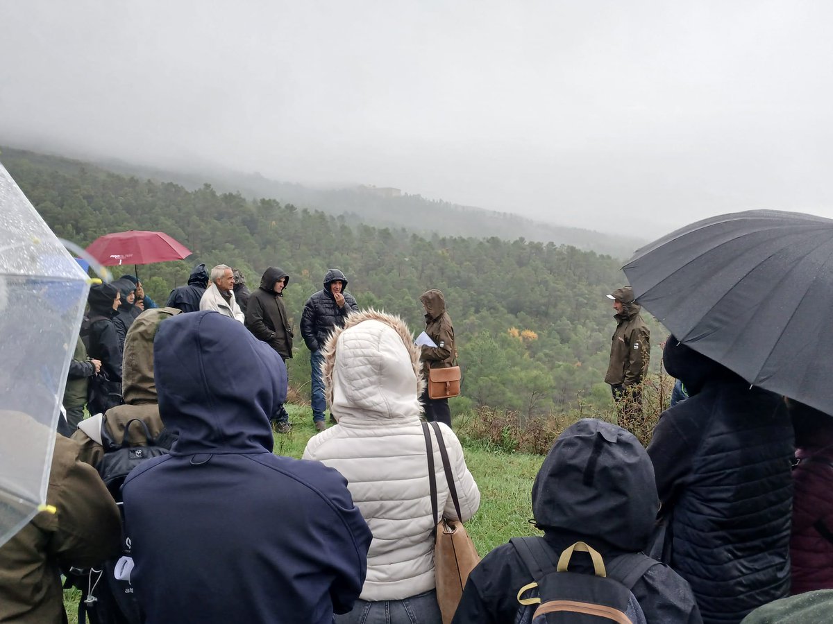 IntiaSa's tweet photo. Vicente Ferrer, de #INTIA, subraya en la jornada de @LIFE_NAdapta_CC la importancia del uso de la #GanaderíaExtensiva 🐑 como herramienta de #gestión para reducir el #riesgo de #IncendiosForestales.
#LIFE_IP_NAdapta_CC #OPENDAYS2024 https://t.co/MTjcE9aR61