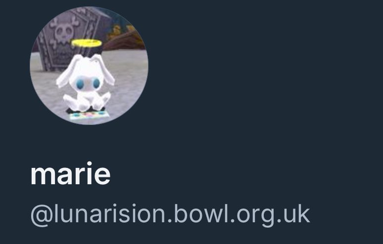 marie 💫 tweet media