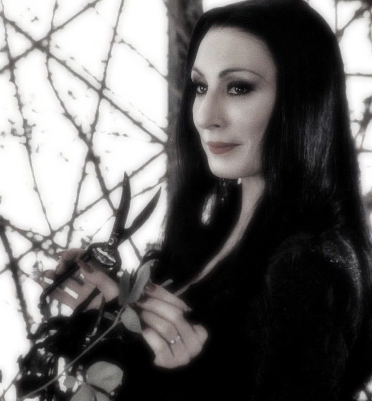 strawbxmoon's tweet image. ⋆✴︎˚｡⋆ build your own outfit - morticia&apos;s version ⋆✴︎˚｡⋆