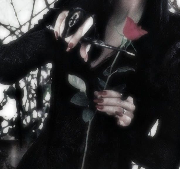 strawbxmoon's tweet image. ⋆✴︎˚｡⋆ build your own outfit - morticia&apos;s version ⋆✴︎˚｡⋆