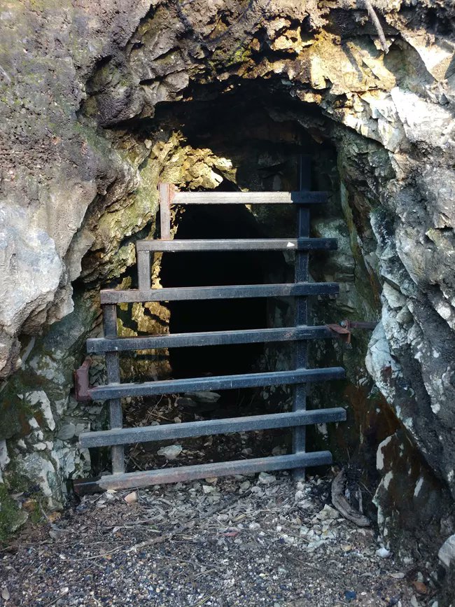 USGS's tweet image. What could be spookier than an #AbandonedMine…? 🦇

Uncover the #GoldRushGhosts brave USGS researchers ventured into abandoned mines to look for in a series of interactive maps 👉 ow.ly/RZQ950TM2R0

#SpookyScience #Mercury #AbandonedPlaces