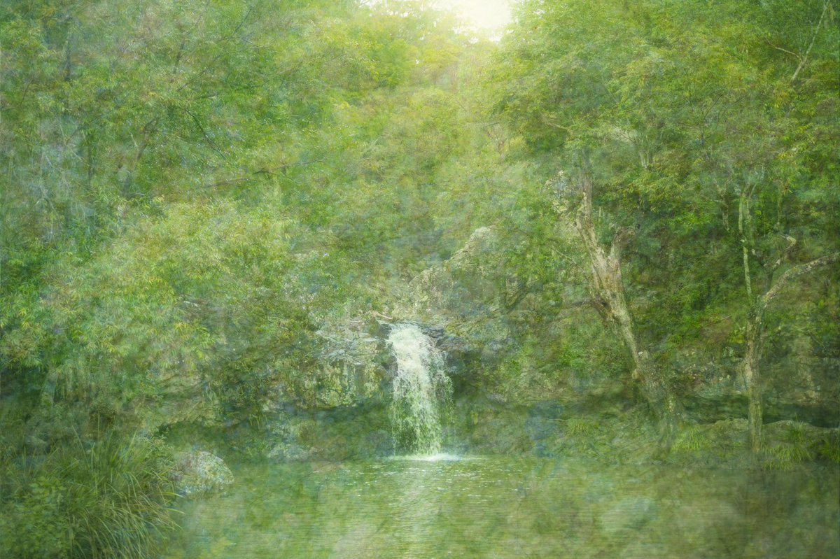 mainaito_art's tweet photo. Photograph of a tiny waterfall, nourished by a family of greens. https://t.co/jZFIzKUHnu