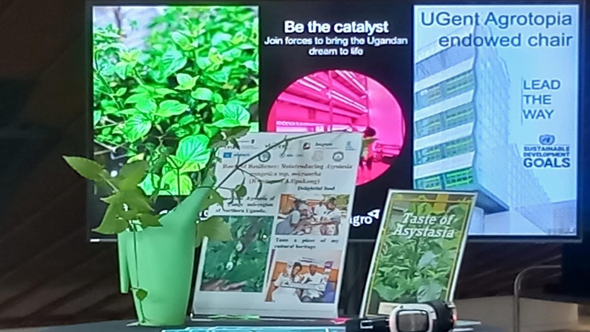 Laboratory of Plant Ecology (@labplantecology) on Twitter photo Excited to explore new opportunities to accelerate research on Asystasia through the UGent Agrotopia endowed chair, in collaboration with Prof. Kathy Steppe! Looking forward to driving innovation. <a href="/InAgrotopia/">InAgrotopia</a> #Fbwugent #UGent #FoodInnovation Excited to explore new opportunities to accelerate research on Asystasia through the UGent Agrotopia endowed chair, in collaboration with Prof. Kathy Steppe! Looking forward to driving innovation. <a href="/InAgrotopia/">InAgrotopia</a> #Fbwugent #UGent #FoodInnovation