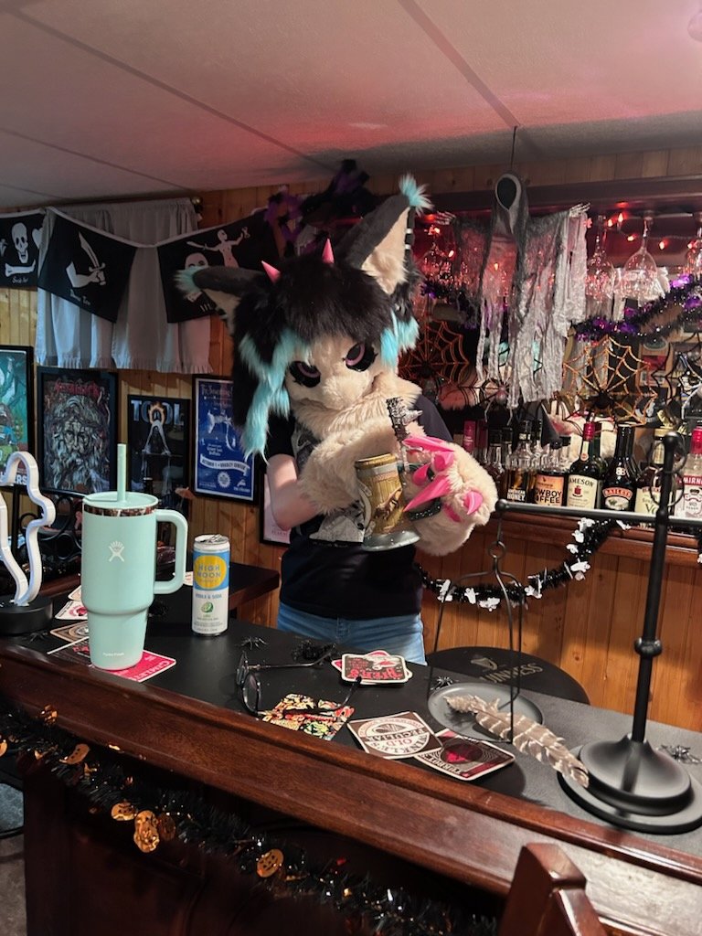 Dragon finds your bar! Uh oh!
#FursuitFriday