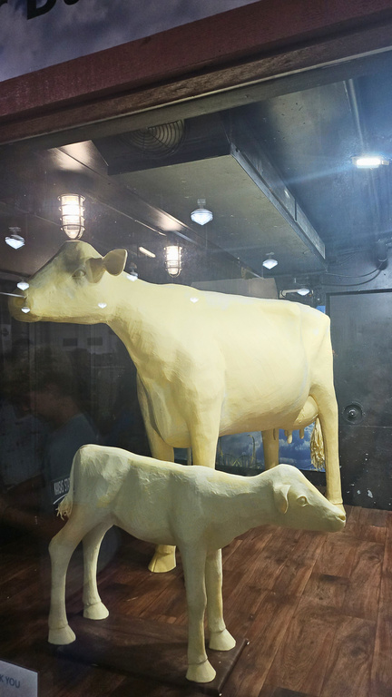 NRCS_Kansas's tweet photo. Happy National Butter Day! Butter sculptures, like this cow and calf, are a beloved staple of the Kansas State Fair. https://t.co/xZEr17zYHa
