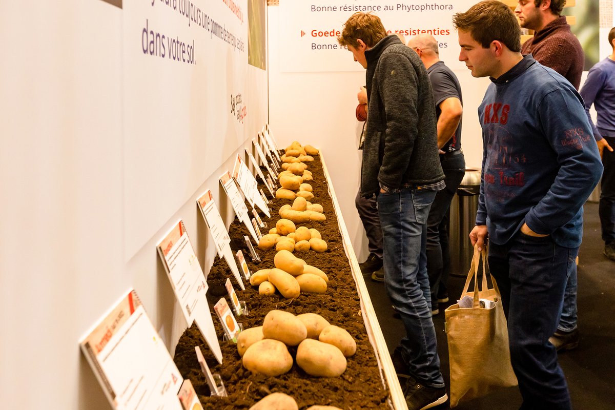 Interpom tweet media