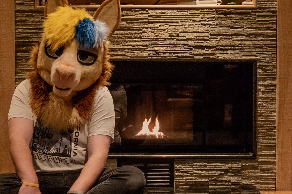 GaleTheAlpaca's tweet photo. Come join me by the fire, it’s very cosy ❤️ #FursuitFriday https://t.co/UbaPjr9KJb