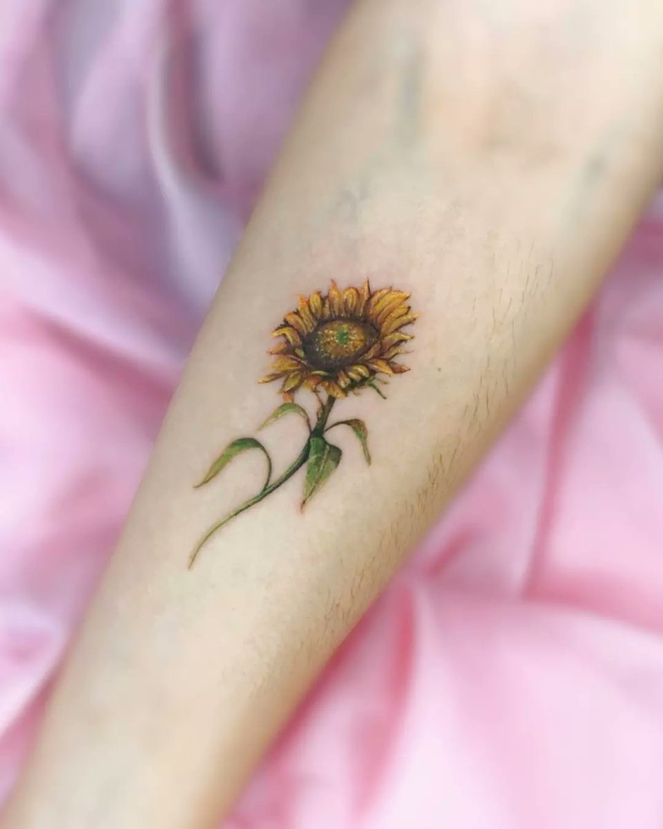 MatiasZaracho20's tweet photo. Hola les comparto algunos de mis trabajos que realicé en estos días
Si buscas un tattoo personalizado me podes escribir 0991913586
Estoy como flamingotattoopy en las redes Lxs espero 🩷✨
Me ayudan bastante compartiendo así llegamos a más gente gracias ✨ https://t.co/mPocbsJQ61