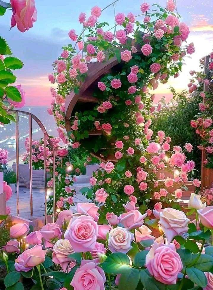 Beth396's tweet photo. Viernes!! Muy buen día para todos..💚🌞☘🌸☘🌸 https://t.co/CzenbmG8xl