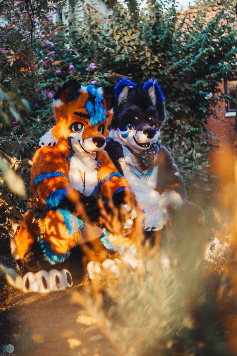 Come and enjoy this #FursuitFriday with me and <a href="/TraceoTheFox/">Traceo</a> the last few beautiful warm days of this year.

📸:  <a href="/lextramow/">Lexi McSwirl</a> 

#furry #fursuit