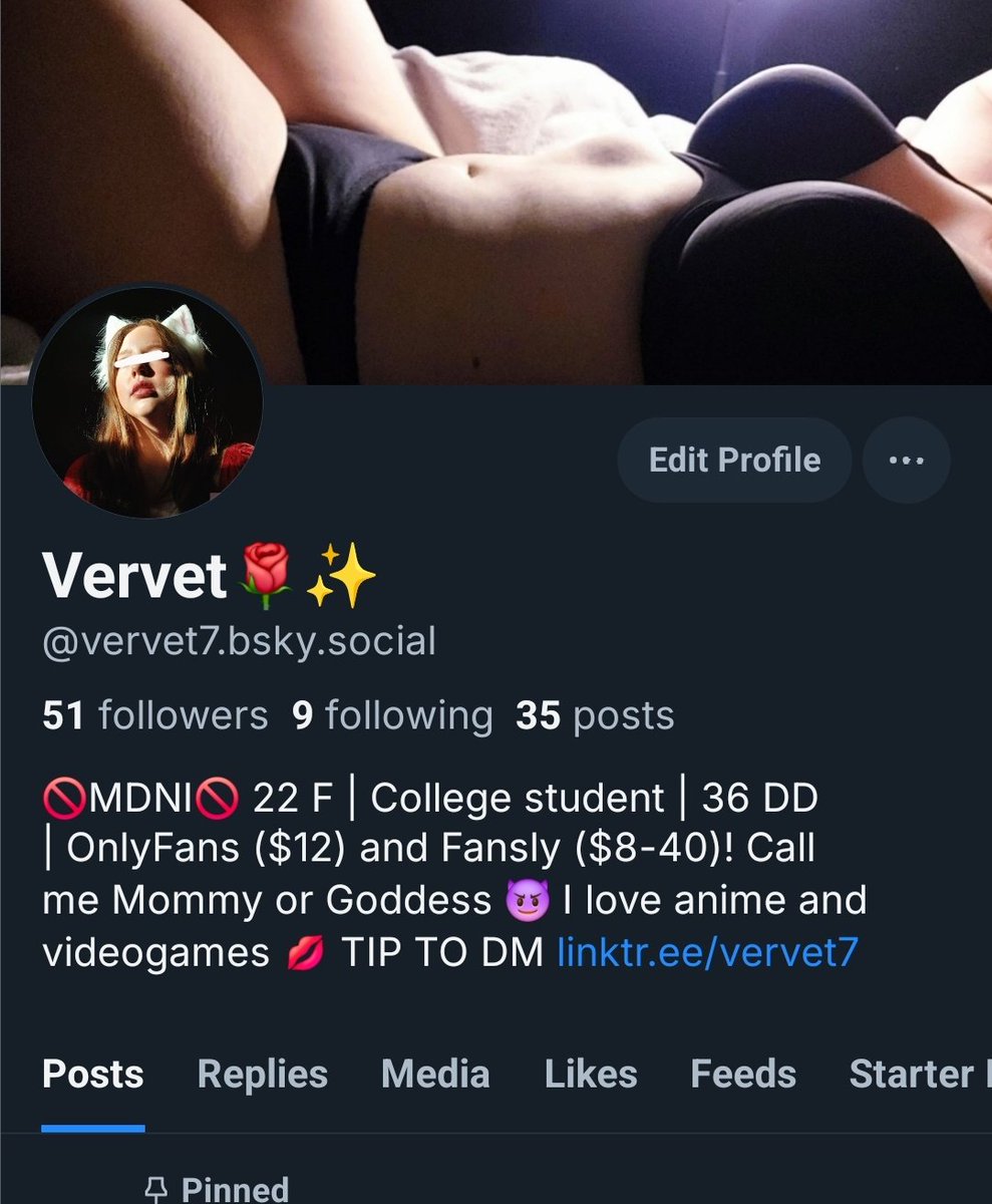VervetV77's tweet photo. X seems to be going down the shitter (again) so follow me on Bluesky! https://t.co/JvNdscsdJT
