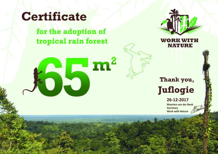 Juflogie_Nature's tweet photo. Work With Nature Protect Tropical rainforest in Costa Rica. 🌴🌴🌴
#Juflogie  , #wwn  , #nature https://t.co/SVE5BPqiRr