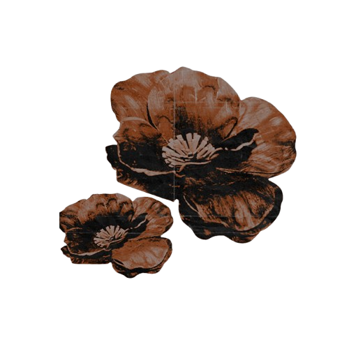 ️️️ ️ ️️️ ️️️️ ️ ️️𝓯𝒓͟𝒂͟𝒈͟𝒊͟𝒍͟𝒆 𝕷𝖆𝒎𝖇. (@arizonaearts) on Twitter photo 