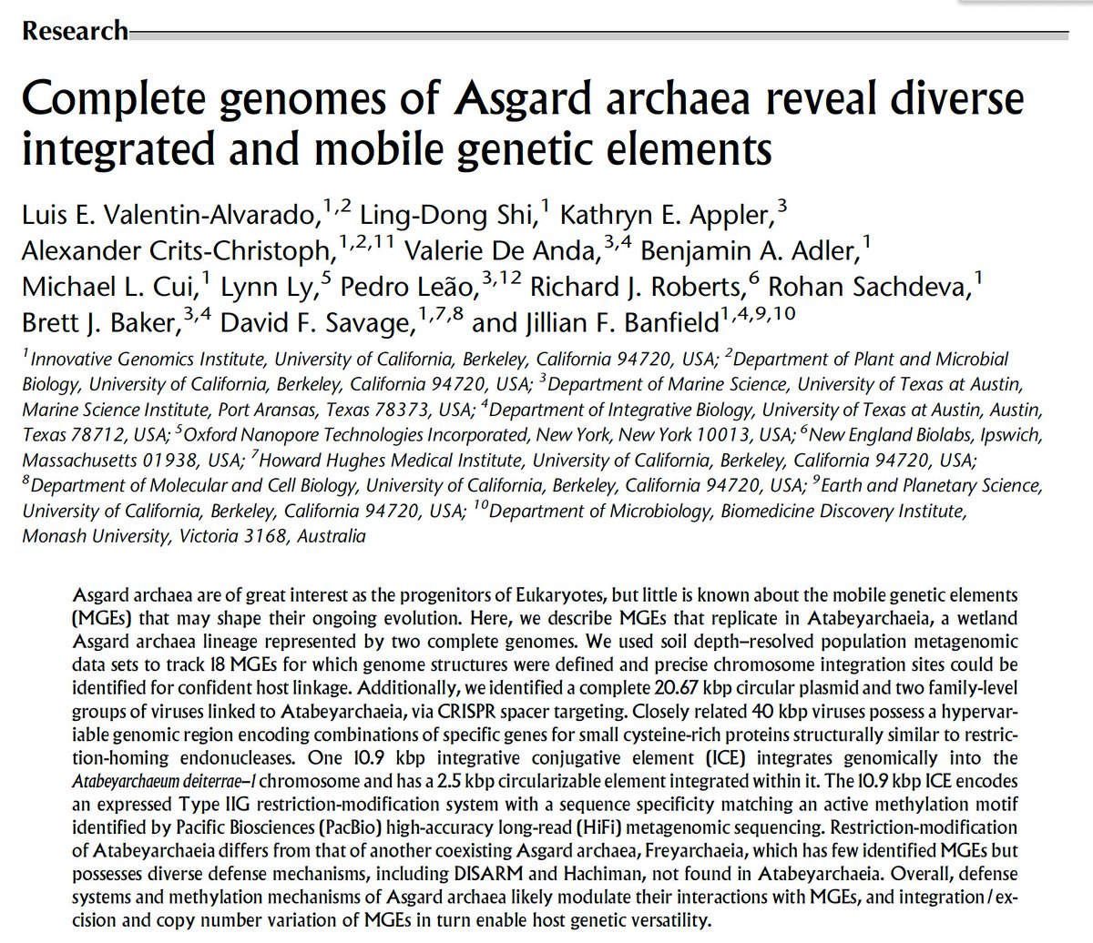 Luis E. Valentín-Alvarado (@luisarchaeota) on Twitter photo 1/11 Excited to share our latest paper in @GenomeResearch: "Complete genomes of Asgard archaea reveal diverse integrated and mobile genetic elements" 🧬🦠 <a href="/BanfieldLab/">The Banfield Lab</a> 1/11 Excited to share our latest paper in @GenomeResearch: "Complete genomes of Asgard archaea reveal diverse integrated and mobile genetic elements" 🧬🦠 <a href="/BanfieldLab/">The Banfield Lab</a>