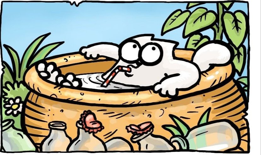 MutantPunkNft's tweet photo. @MatthewXBT @Memstagram_com 🚀 Get ready for the purr-fect token - $CAT! With partnerships in place and a huge community backing, Simon’s Cat memecoin is ready to take off! Don't miss out on this opportunity! 🐾 #SimonCatToken https://t.co/PfwrIeJtky