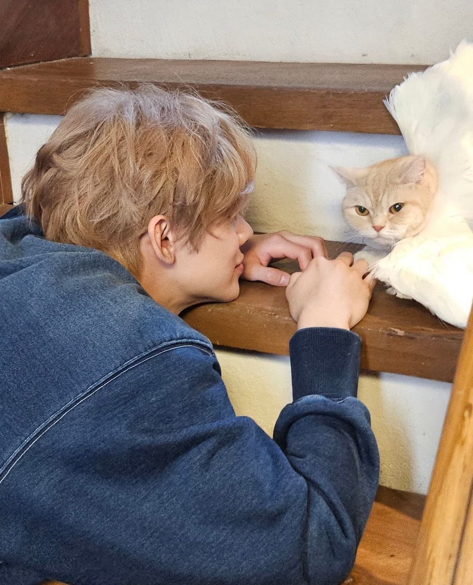 txtarchivee's tweet photo. 241018 YEONJUN (@/yawnzzn) Instagram update https://t.co/G1HBNq3bg4