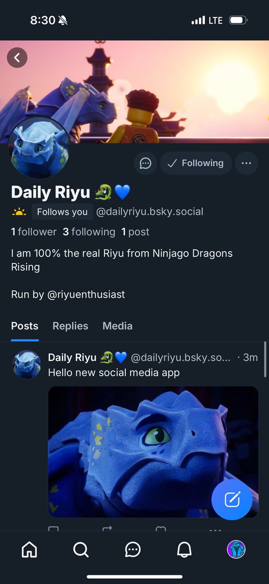 Daily Riyu 🐉🩵 tweet media