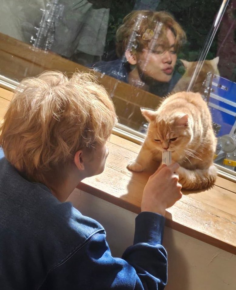 txtarchivee's tweet image. the reflection 🥹