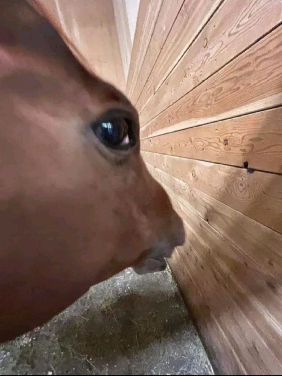 CrysNotFound's tweet photo. Bueno Mutis. Todo se va al carajo parece. Déjenme sus cuentas para darles follow 🥰☝️ https://t.co/Y0oLzZQcLE