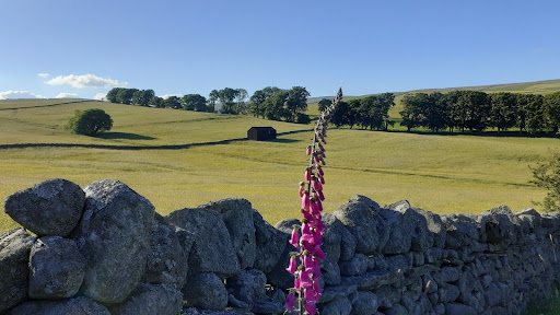 We're recruiting fully-funded (home fees) PhD studentships for a September 2025 start.

Interested in exploring the ways in which human activity enhances as well as diminishes biological diversity? Take a look at our projects from a range of disciplines: tinyurl.com/mtedknp9