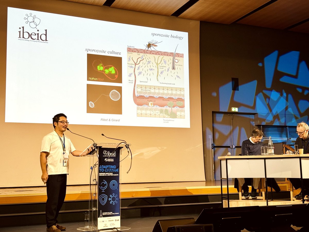 Labex IBEID (@ibeidlabex) on Twitter photo Let’s explore the neutralizing mechanisms of antibody to target #malaria sporozoites with our IBEID partner Rogerio Amino.
#science #infectiousdiseases #parasite
#onehealth
<a href="/institutpasteur/">Institut Pasteur, since 1887</a> Let’s explore the neutralizing mechanisms of antibody to target #malaria sporozoites with our IBEID partner Rogerio Amino.
#science #infectiousdiseases #parasite
#onehealth
<a href="/institutpasteur/">Institut Pasteur, since 1887</a>