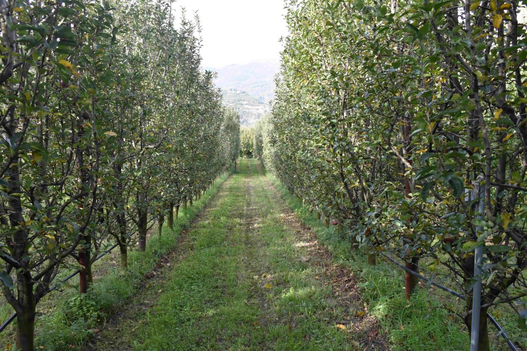 SpongeWorks tweet media