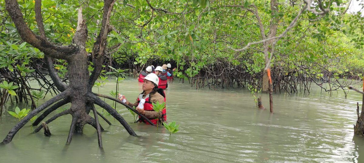 Metronewstvcom's tweet photo. Rutin Lakukan Pemantauan Biota Laut Komitmen PT Timah Menjaga Keseimbangan Ekosistem Pesisir → https://t.co/ur7rpWA6st https://t.co/KBQs4eVD5y