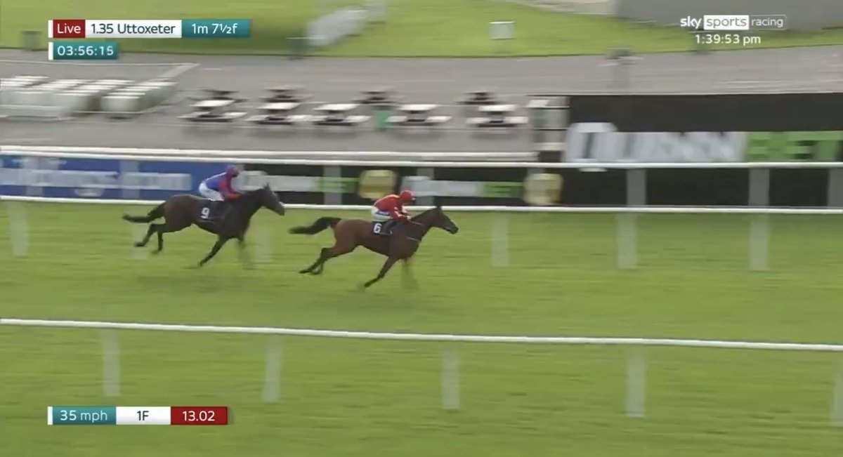 the racing newsletter tweet media