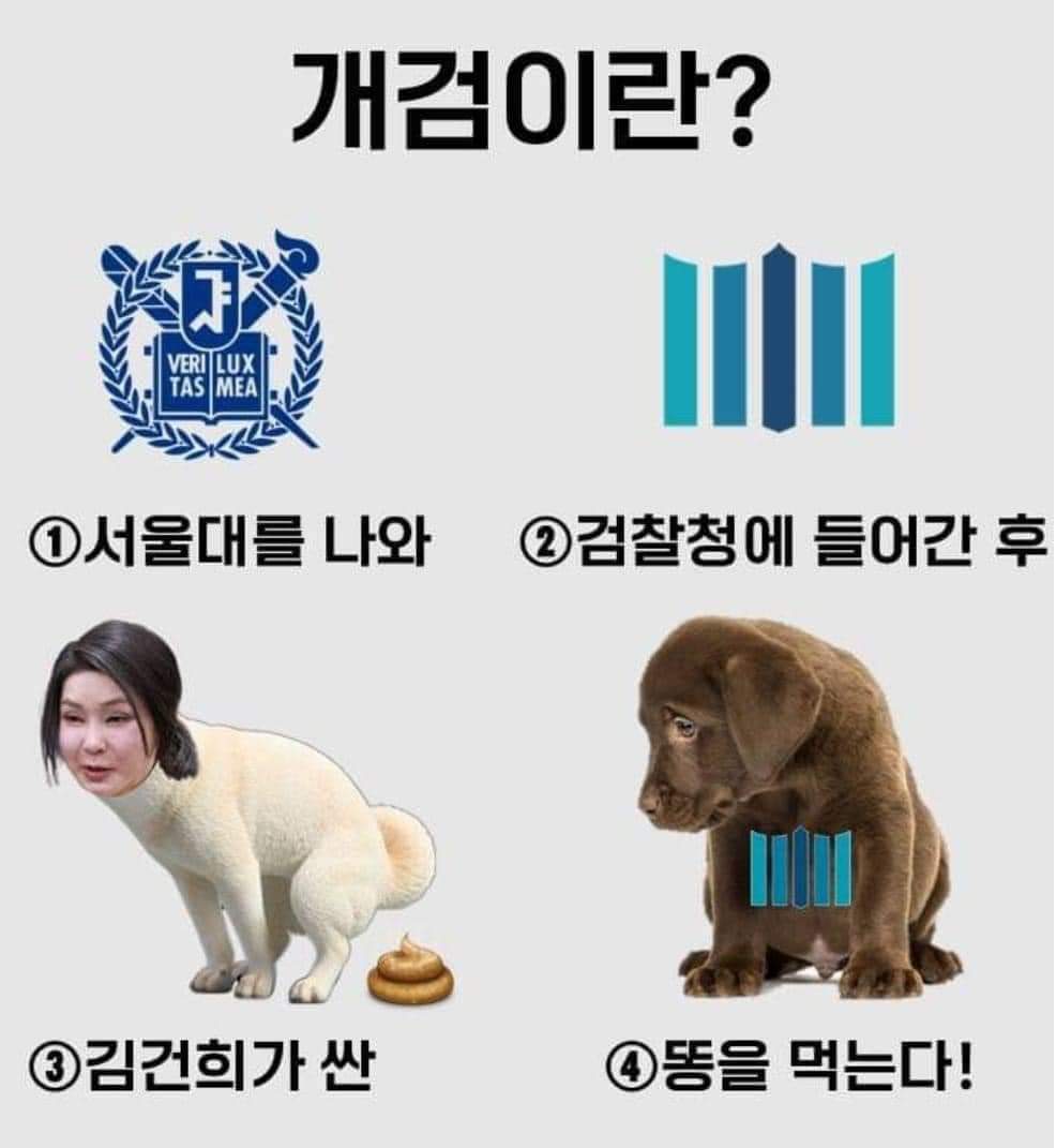 개검은 
거니의 
똥개 새끼들!