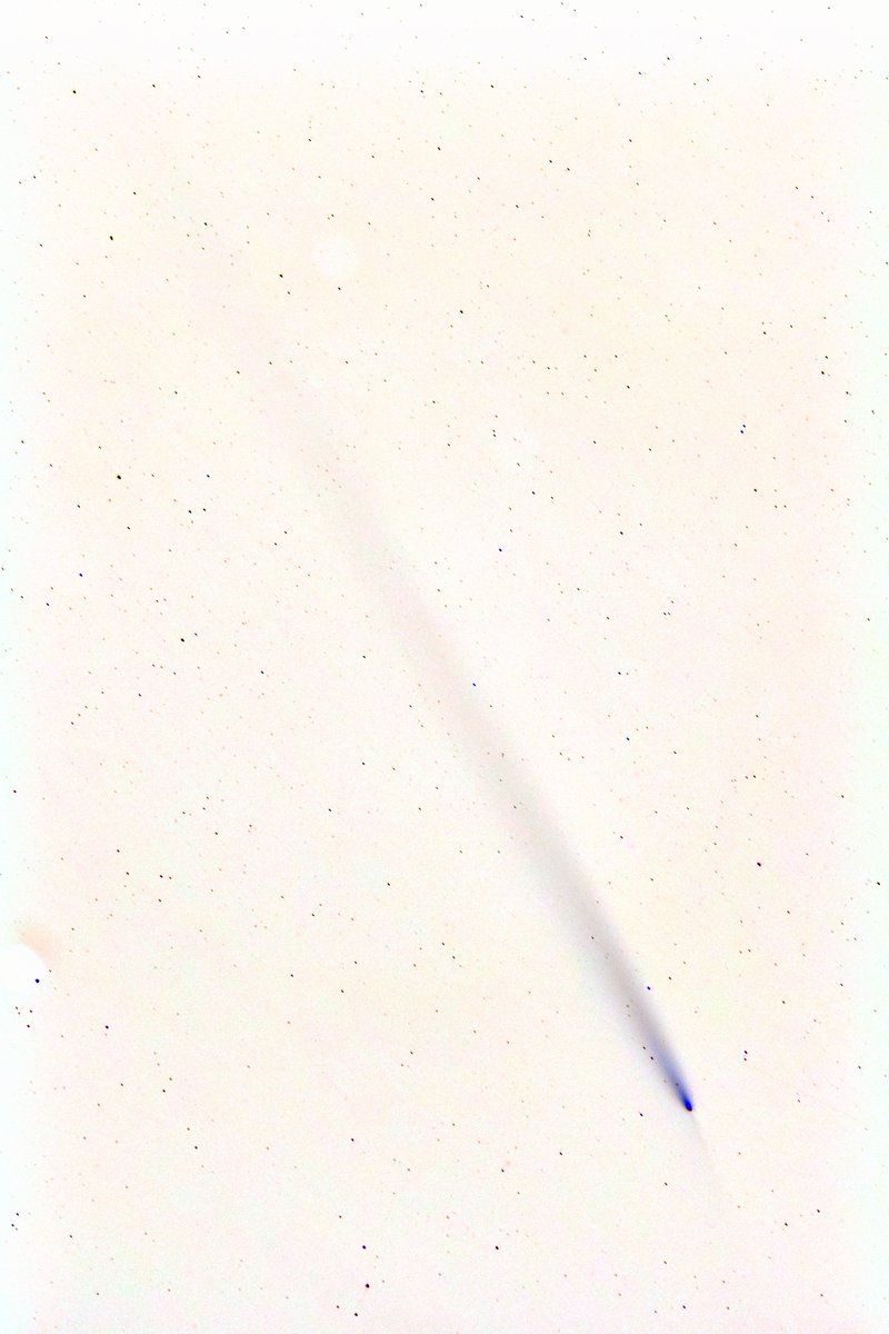 hosi_tori_ga's tweet image. 昨夕のC/2023 A3（Tsuchinshan-ATLAS)
Sequator で10枚をスタック
＃NikonD5300