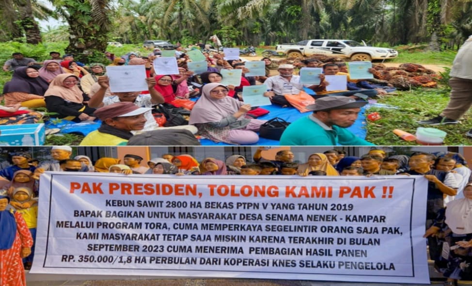 Metronewstvcom's tweet photo. 1 Triliun Uang Panen Sawit Desa Senama Nenek Tak Transparan → https://t.co/noWIEokFBa https://t.co/CGvmeiWlBw