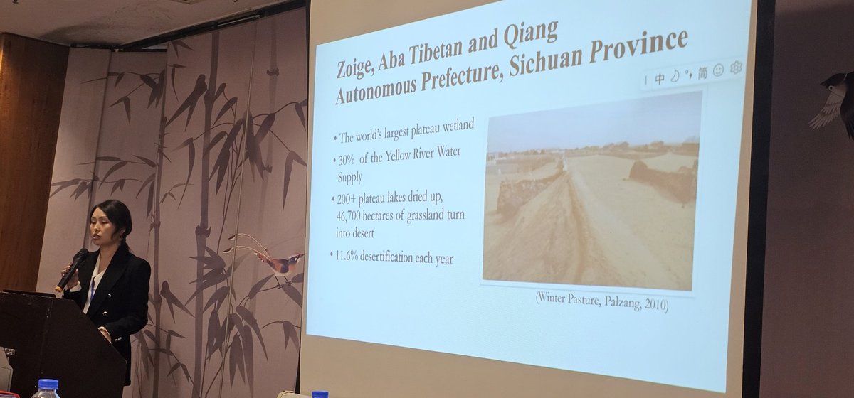 "The Camera Speaks Our Language" by Prof. Dongjing Kang (Shanghai Jiao Tong University) explores Tibetan Indigenous ecological knowledge through participatory video. #PCST #IndigenousEcology #TibetanPlateau