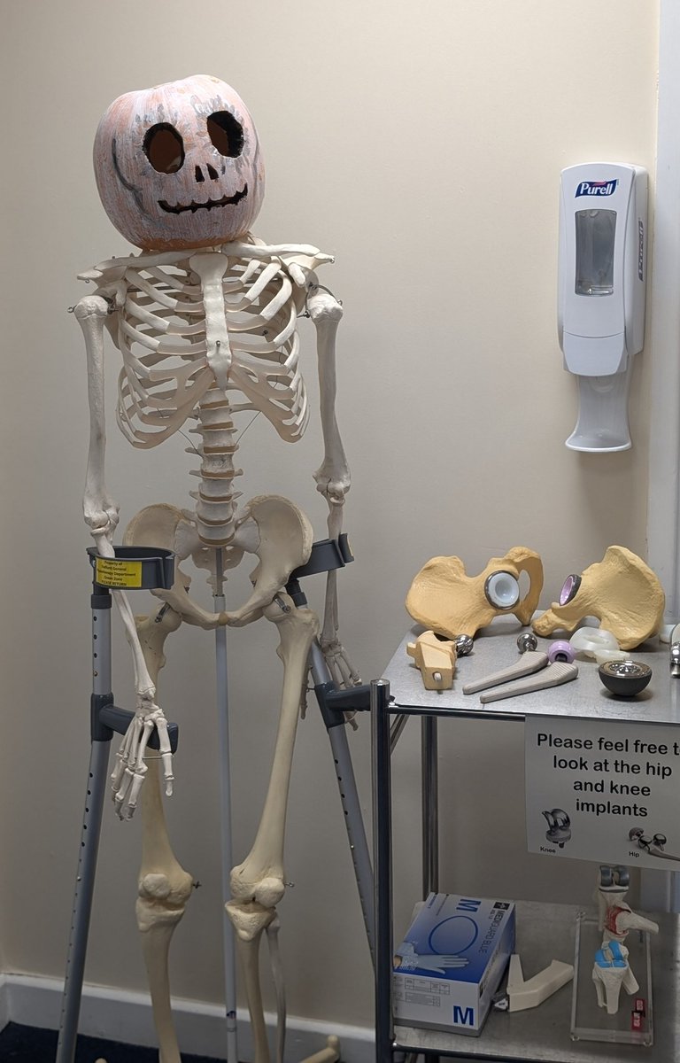 Jolly Barrow tweet media