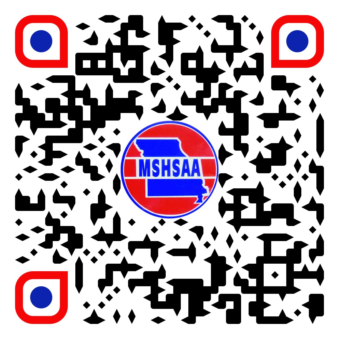 Windsor Softball tweet media