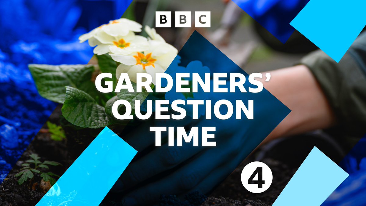 SSGreatBritain's tweet photo. We are thrilled to be hosting a live recording of BBC Gardeners' Question Time on Tuesday 12 November 🪴 

The celebrated panel of gardening experts will be answering qs submitted to them by the audience on the evening.

🎫 Book your tickets here: https://t.co/GGVR6wUToW https://t.co/IBR2oQUxTd