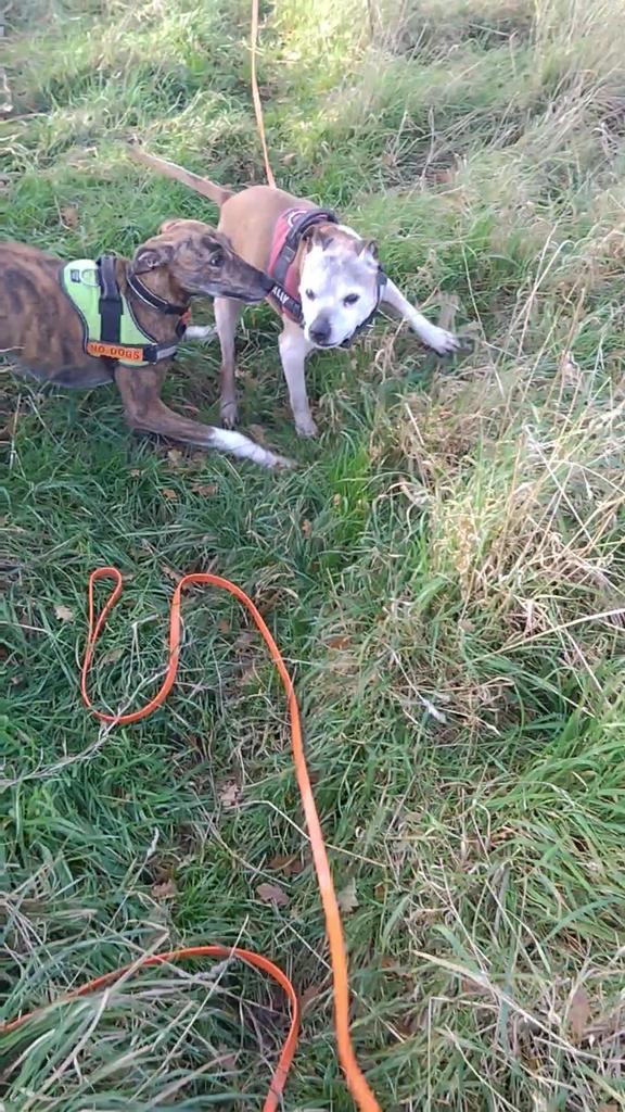 Poor Billy kopping it from the young upstart 😃