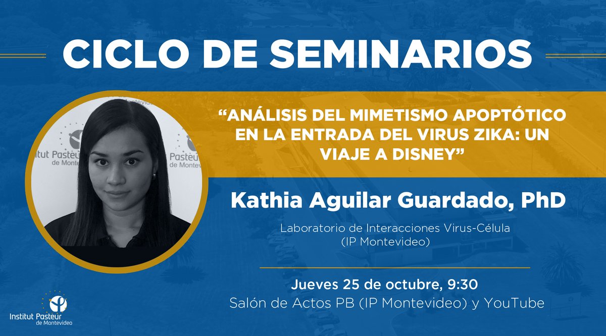 IPMontevideo's tweet photo. 🗣️ 𝑪𝒊𝒄𝒍𝒐 𝒅𝒆 𝑺𝒆𝒎𝒊𝒏𝒂𝒓𝒊𝒐𝒔

Kathia Aguilar (Lab. de Interacciones Virus - Célula del IP Montevideo), expondrá en el seminario del instituto.

🗓️ Jueves 25/10
🕤 9:30
📍 Salón de Actos PB
📺 YouTube: https://t.co/JLHmRT9JBV https://t.co/XcTqBxq1ZV
