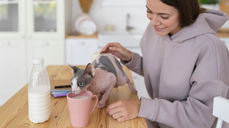 peta2z's tweet image. Cold weather is coming! ❄️ Make sure your pets are ready with these easy tips to keep them warm and healthy. 🐾 From cozy bedding to proper nutrition, we&apos;ve got you covered! 🐶🐱
bityl.co/SOyJ

#PetCare #ColdWeatherPets #PetHealth #WinterReady