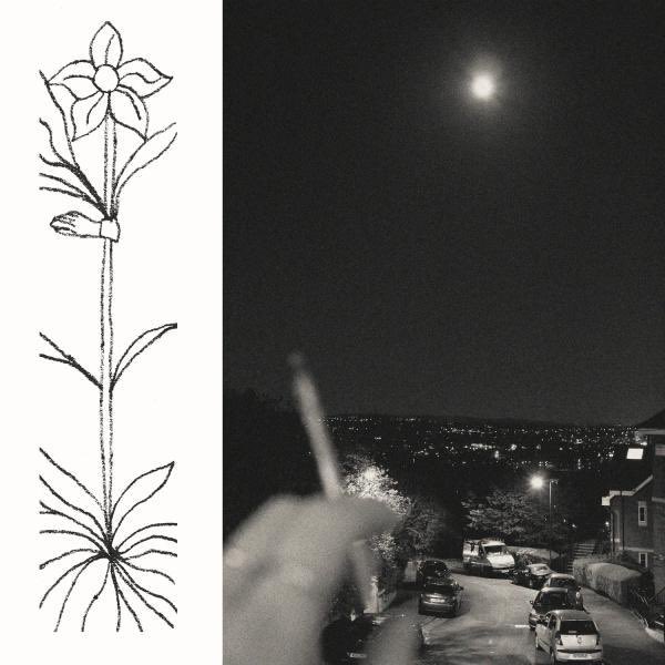 misterminsoo's tweet image. 4 for today:

• Jabu - A Soft and Gatherable Star
• The Necks - Bleed
• Nzʉmbe - Ardor or Entropy
• Nour Mobarak - Dafne Phono