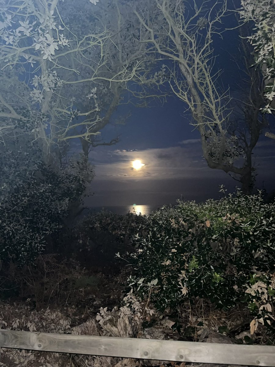 JudithASmith's tweet photo. Last nights Hunter supermoon over the sea at Dunwich…..👌 https://t.co/2Jj4wx5JgN