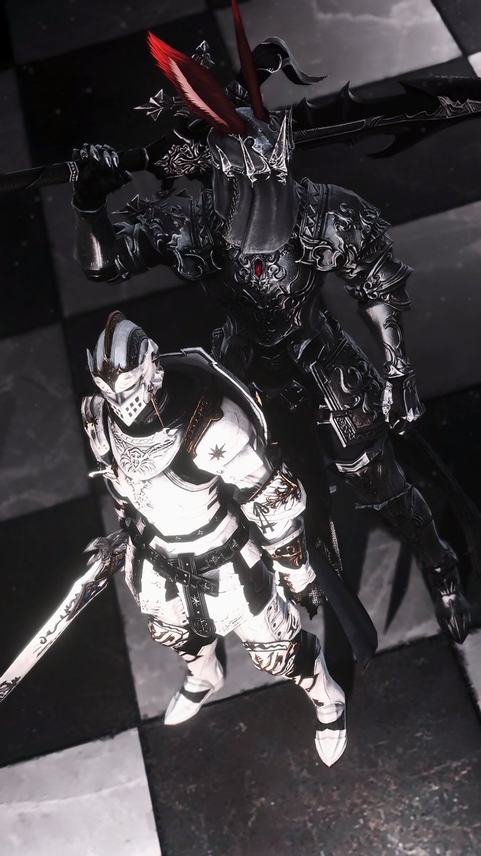 🤍White Knight, Black Knight🖤
#EorzeaPhotos #gposers #viera #miqote