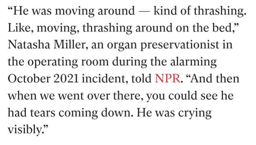 🔻Rio Slade 🔻 tweet media