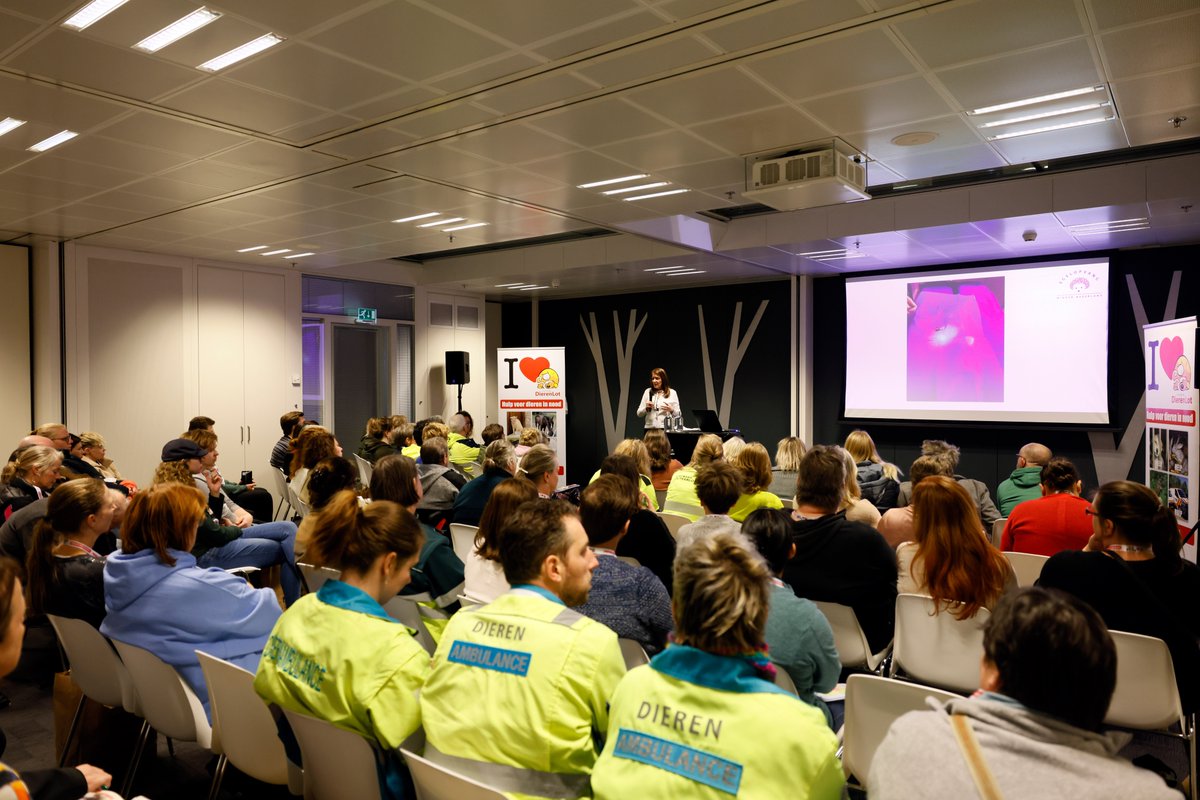 DierenLot's tweet photo. Ben jij vrijwillig of betaald werkzaam in of betrokken bij dierenhulpverlening? Kom dan naar het Landelijk Congres Dierenhulpverlening. Een boeiende dag waarin we onder andere de diervriendelijke gemeente en dierenhulpverlener van het jaar bekend maken: https://t.co/CJkXa2YiAb https://t.co/aIK8p1DXEX
