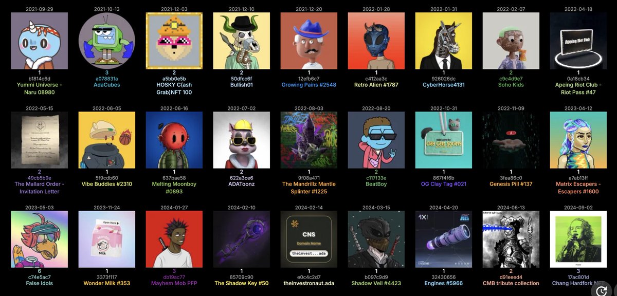 TheInvestronaut's tweet image. Remember any of these Cardano NFT projects?